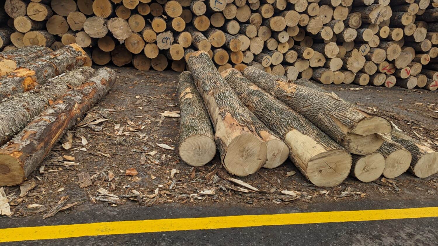 Picture Of Wood Logs By Ort Hardwood Flooring